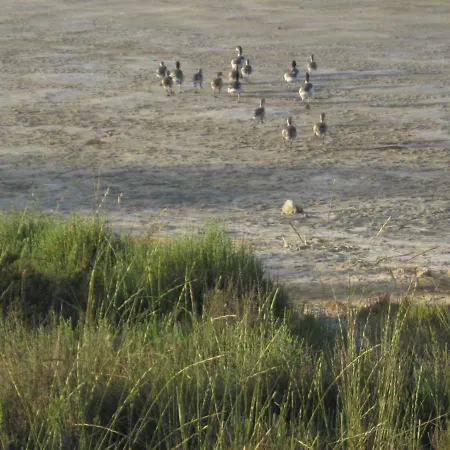 Appartamento Brezza Di Mare