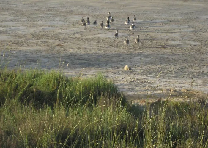 Apartman Brezza Di Mare