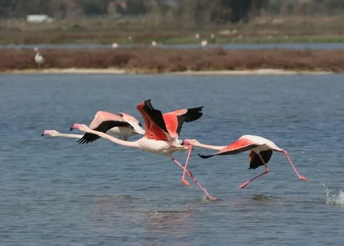 Brezza Di Mare Apartman Putzu Idu